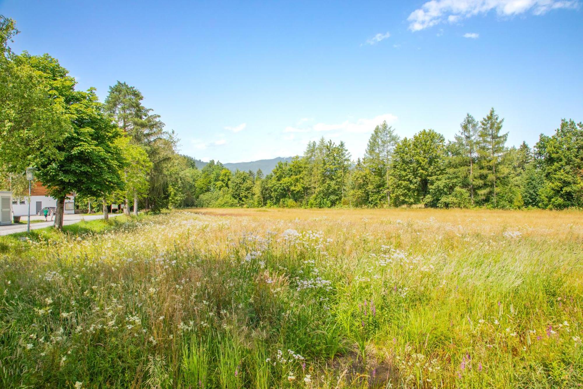 Moosaik Appartements Strobl Exteriér fotografie